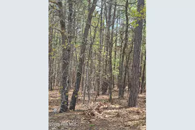 4 Brassie Lane, Foxfire, NC 27281 - Photo 2
