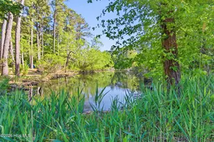 170 Discovery Trail, Hertford, NC 27944 - Photo 34