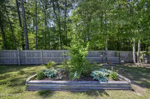 40 Thatcher Dr, Rocky Point, NC 28457 - Photo 48