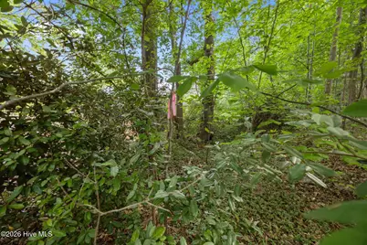 000 Hayley Street, Warrenton, NC 27589 - Photo 14
