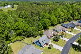 1124 Mill Run Rd, Sneads Ferry, NC 28460 - Photo 30
