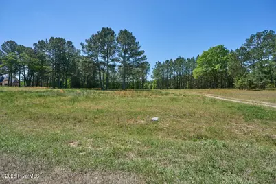 510 Carys Lane, West End, NC 27376 - Photo 2