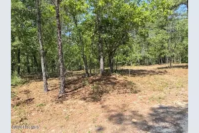 1028 Sorrell Drive, Vass, NC 28394 - Photo 1