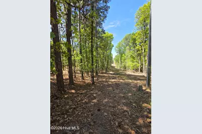 188 Shagbark Road, Seven Lakes, NC 27376 - Photo 48