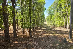 188 Shagbark Rd, Seven Lakes, NC 27376 - Photo 48