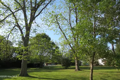 504 Midyette Street, Oriental, NC 28571 - Photo 4