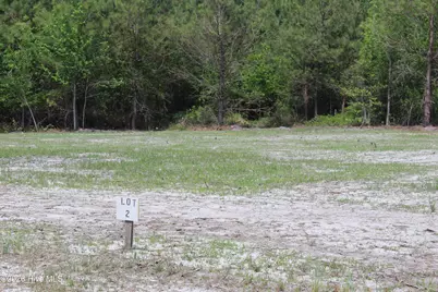 120 H.T.Brown Lane, Magnolia, NC 28453 - Photo 1