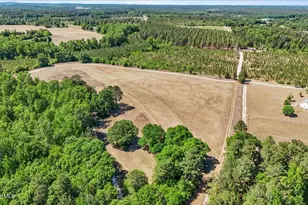 171 Dobbins Ln, Rockingham, NC 28379 - Photo 40