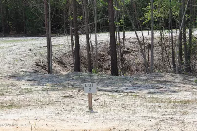 934 Blind Bridge Road, Magnolia, NC 28453 - Photo 1