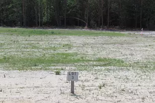 940 Blind Bridge Rd, Magnolia, NC 28453 - Photo 1