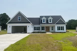 243 Herring Road, Princeton, NC 27569 - Photo 1