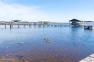 2910 Canal Cove Rd, Lake Waccamaw, NC 28450 - Photo 50