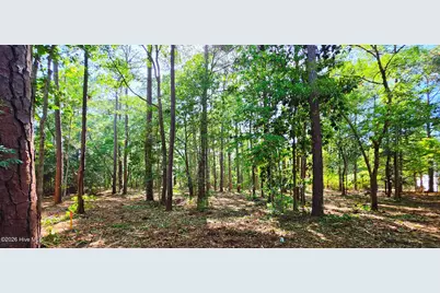 L-2 S-N Palmer Drive, Shallotte, NC 28470 - Photo 8