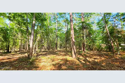 L-1 S-N Palmer Drive, Shallotte, NC 28470 - Photo 12