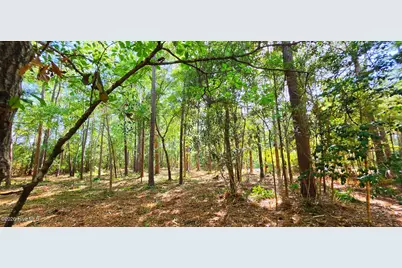 L-1 S-N Palmer Drive, Shallotte, NC 28470 - Photo 6