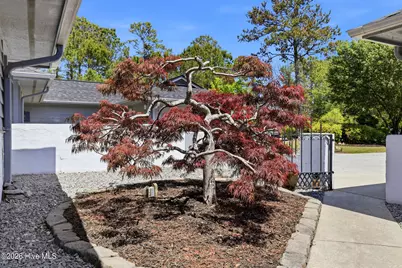 143 Red Bird Lane, Hampstead, NC 28443 - Photo 8