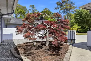 143 Red Bird Ln, Hampstead, NC 28443 - Photo 8