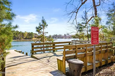74 Aster Place, Hampstead, NC 28443 - Photo 64