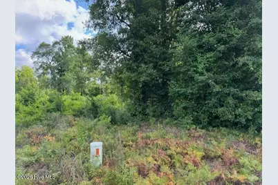 Tract A Leland School Road NE, Leland, NC 28451 - Photo 4