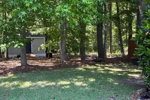 4741 Joyner Rd, Elm City, NC 27822 - Photo 24