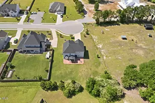 422 Whistling Heron Way, Swansboro, NC 28584 - Photo 8