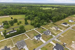 300 Shortleaf Dr, Grimesland, NC 27837 - Photo 46