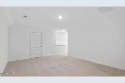 172 Prairie Wolf Street, Sanford, NC 27330 - Photo 22