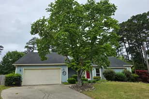 213 Teakwood Pl, Piney Green, NC 28544 - Photo 1