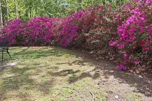100 Longhorn Dr, Moyock, NC 27958 - Photo 52