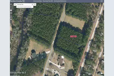 9219 Hart Drive, Oriental, NC 28571 - Photo 12