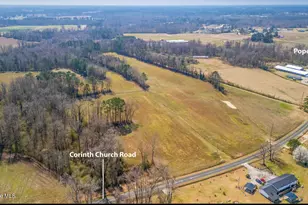 275 Corinth Church Rd, Rose Hill, NC 28458 - Photo 1