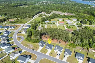519 White Shl Wy, Sneads Ferry, NC 28460 - Photo 58