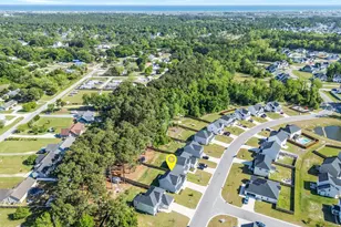 519 White Shl Wy, Sneads Ferry, NC 28460 - Photo 60