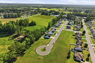 319 Mangrove Ct, Ayden, NC 28513 - Photo 44
