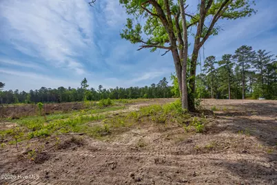 935 McGill Road, Vass, NC 28394 - Photo 6