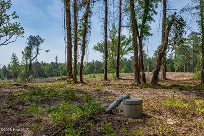 935 McGill Road, Vass, NC 28394 - Photo 8