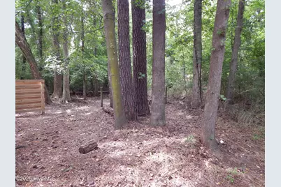 112 Ridge Place, Greenville, NC 27834 - Photo 32