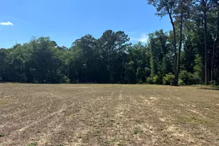 467 Macedonia Church Rd, Evergreen, NC 28438 - Photo 14