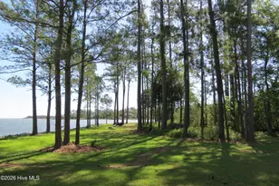 651 Quail Rd, Merritt, NC 28556 - Photo 72