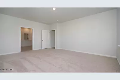5309 Areca Road #Lot 428, Castle Hayne, NC 28429 - Photo 12