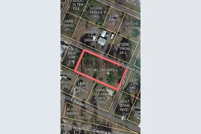 0 4th and Elizabeth St Street, Bladenboro, NC 28320 - Photo 1