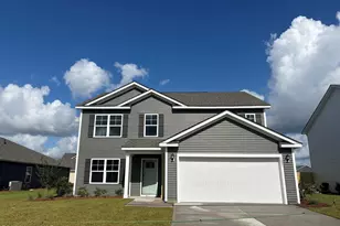 1057 Pampas Grass Dr, Castle Hayne, NC 28429 - Photo 46