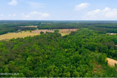 8678 Joe Brown Highway S, Clarendon, NC 28432 - Photo 46