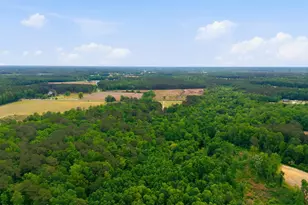 8678 Joe Brown Hwy S, Clarendon, NC 28432 - Photo 46