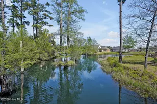 1124 Garden Club Way, Leland, NC 28451 - Photo 86