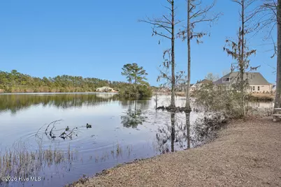 1124 Garden Club Way, Leland, NC 28451 - Photo 104