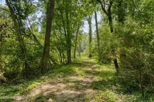 182 Branch Ct, Swansboro, NC 28584 - Photo 64