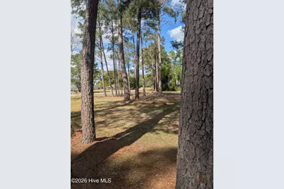 301 Fork Lake Drive, Clinton, NC 28328 - Photo 12