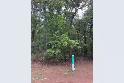 148 Otter Drive, Seven Lakes, NC 27376 - Photo 6