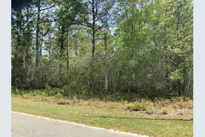 1434 Mockingbird Place SW, Shallotte, NC 28470 - Photo 1